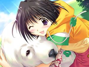 Animaux